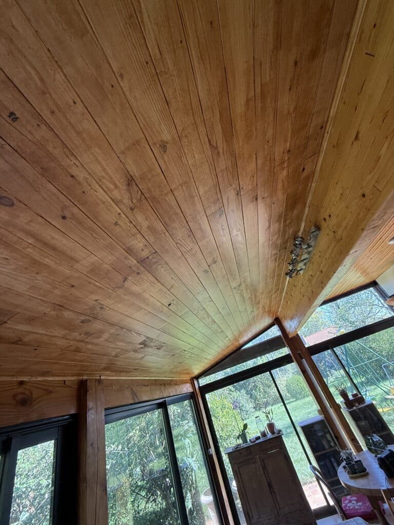 Plafond en lattes de bois brun-orangé, vue en contre-plongée vers de grandes baies vitrées donnant sur un jardin verdoyant. Marque '93' visible sur le bois.
